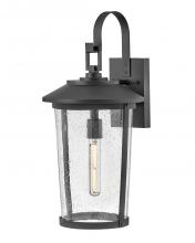 Lark by Hinkley 82025BK - Large Wall Mount Lantern