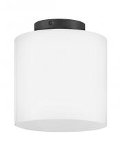 Lark by Hinkley 83533BK - Extra Small Flush Mount