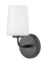 Lark by Hinkley 853450BK - Medium Single Light Vanity