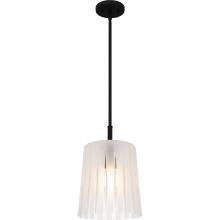 Quoizel RAY1510MBK - Gray 1-Light Matte Black Mini Pendant