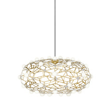  C76324GL - Coral Chandelier