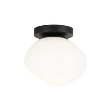  WX63601BKOP - Melotte Wall Sconce/Ceiling Mount