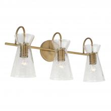 Capital Lighting 142431AD - 3 Light Vanity