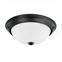 Capital Lighting 214722MB - 2 Light Flush Mount