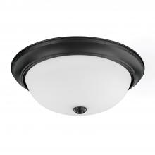 Capital Lighting 214731MB - 3 Light Flush Mount