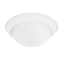 Capital Lighting 219022MW - 2 Light Flush Mount