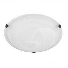 Capital Lighting 2822FF-AL - 2 Light Flush Mount