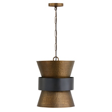 Capital Lighting 330416PZ - 1 Light Pendant