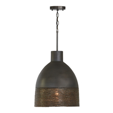 Capital Lighting 335112GI - 1 Light Pendant