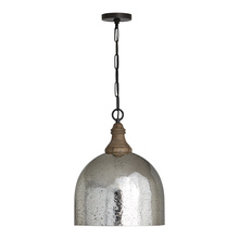 Capital Lighting 336011YP-483 - 1 Light Pendant