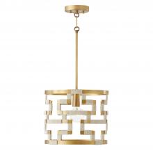 Capital Lighting 341011NL - 1 Light Pendant