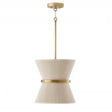 Capital Lighting 341211NP - 1 Light Pendant