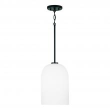  348811MB - 1 Light Pendant