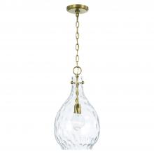 Capital Lighting 349012AD - 1 Light Pendant