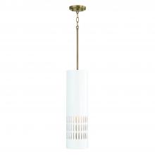 Capital Lighting 350211AW - 1 Light Pendant