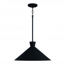  350312XK - 1 Light Pendant