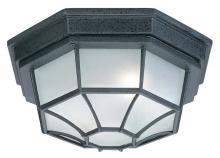 Capital Lighting 9800BK - 2 Light Outdoor Flush Mount