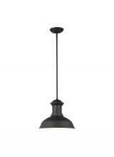 Generation Lighting Seagull 6247701-12 - Fredricksburg traditional 1-light outdoor exterior Dark Sky compliant ceiling hanging pendant in bla