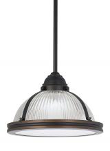 Generation Lighting Seagull 65060-715 - One Light Pendant