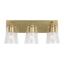 Generation Lighting Seagull GLV1063SB - Miles Large Vanity