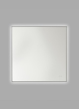 Generation Lighting Seagull MREL1440BN - Cadre Square Mirror 30x30