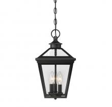  5-146-BK - Ellijay 3-Light Outdoor Hanging Lantern in Black