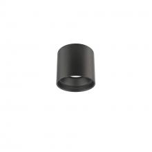 WAC Lighting FM-W47205-30-BK - Downtown Outdoor Flush Mount Light