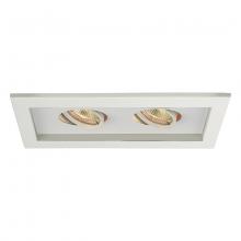 WAC Lighting MT-216-WT/WT - Low Voltage Multiple Two Light Trim