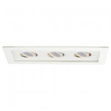 WAC Lighting MT-316LED-WT/WT - Low Voltage Multiple Two Light Trim