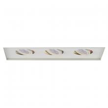 WAC Lighting MT-316LEDTL-WT - Low Voltage Multiple Invisible Two Light Trim