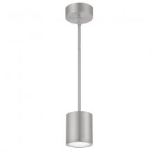 WAC Lighting PD-W2605-AL - TUBE Outdoor Pendant Light