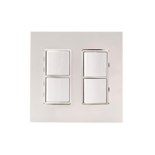 Eurofase EFDWPS - DUAL DUPLEX SWITCH,SS
