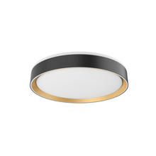 Kuzco Lighting FM43916-BK/GD - Essex 16-in Black/Gold LED Flush Mount