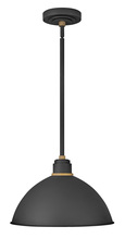 Hinkley Lighting 10685TK - Large Convertible Pendant Barn Light