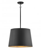 Hinkley Lighting 11154BK - Large Hanging Pendant