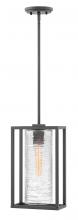 Hinkley Lighting 1252SK - Medium Hanging Lantern