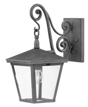 Hinkley Lighting 1430DZ - Medium Wall Mount Lantern