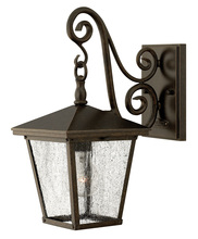 Hinkley Lighting 1430RB - Medium Wall Mount Lantern