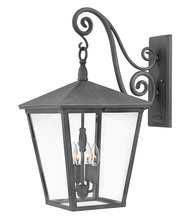 Hinkley Lighting 1438DZ-LL - Large Wall Mount Lantern