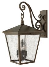 Hinkley Lighting 1438RB - Large Wall Mount Lantern