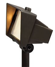 Hinkley Lighting 1521BZ - Flood Light with Frosted Lens