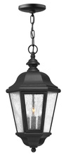 Hinkley Lighting 1672BK - Medium Hanging Lantern