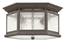 Hinkley Lighting 1683OZ - Small Flush Mount