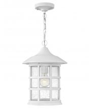  1862TW - Medium Hanging Lantern