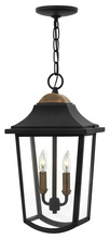 Hinkley Lighting 1972BK - Medium Hanging Lantern