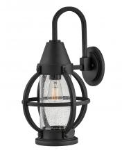 Hinkley Lighting 21005MB - Medium Wall Mount Lantern