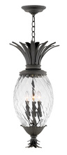 Hinkley Lighting 2122MB - Large Hanging Lantern