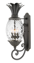 Hinkley Lighting 2124MB - Large Wall Mount Lantern