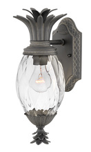 Hinkley Lighting 2126MB - Medium Wall Mount Lantern