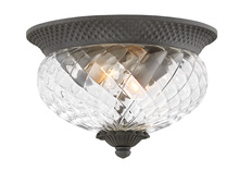 Hinkley Lighting 2128MB - Small Flush Mount